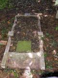 image of grave number 335701